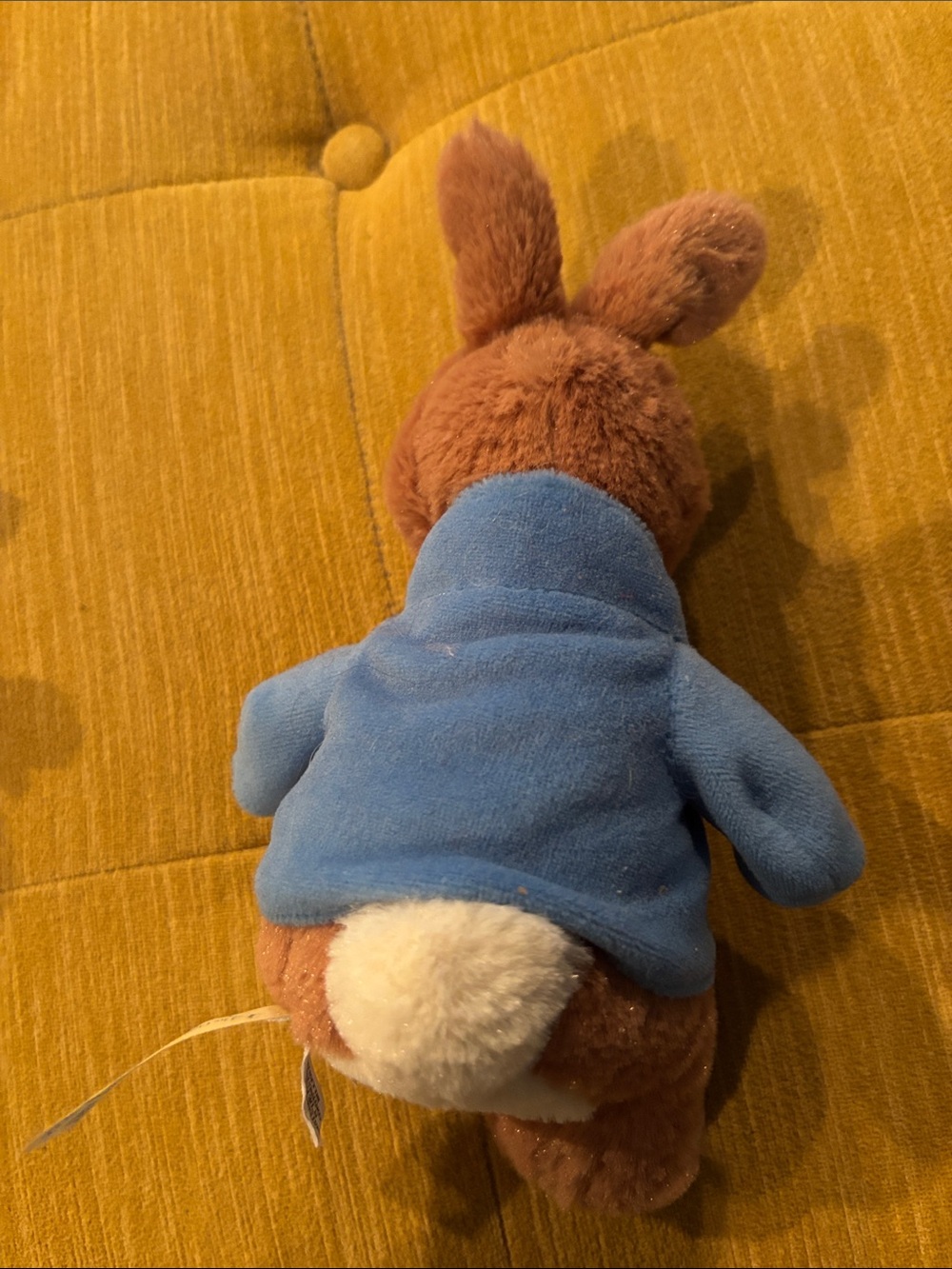 Peter Rabbit - Picture 3 of 5
